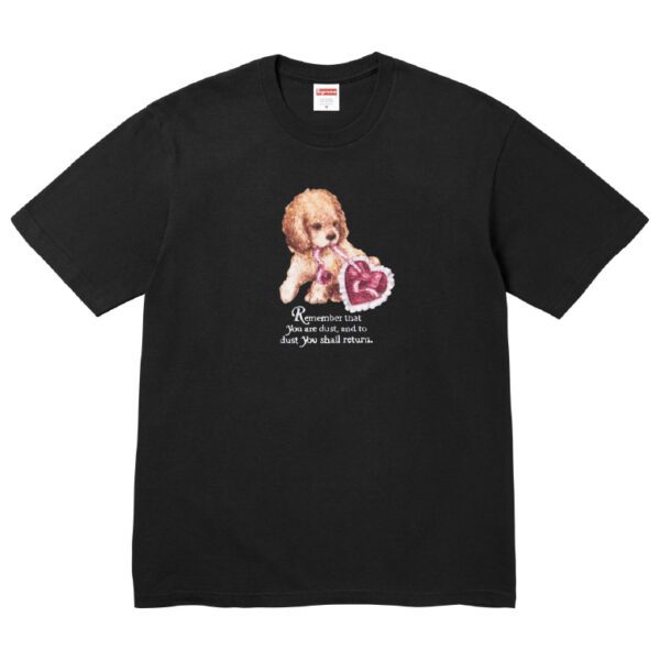 Supreme Dust Tee "Black" (FW 25)
